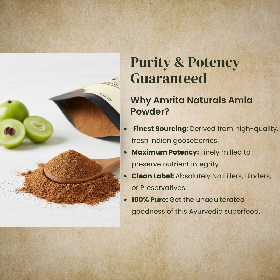 Amla Nourishing Hair & Skin Powder Amrita Naturals