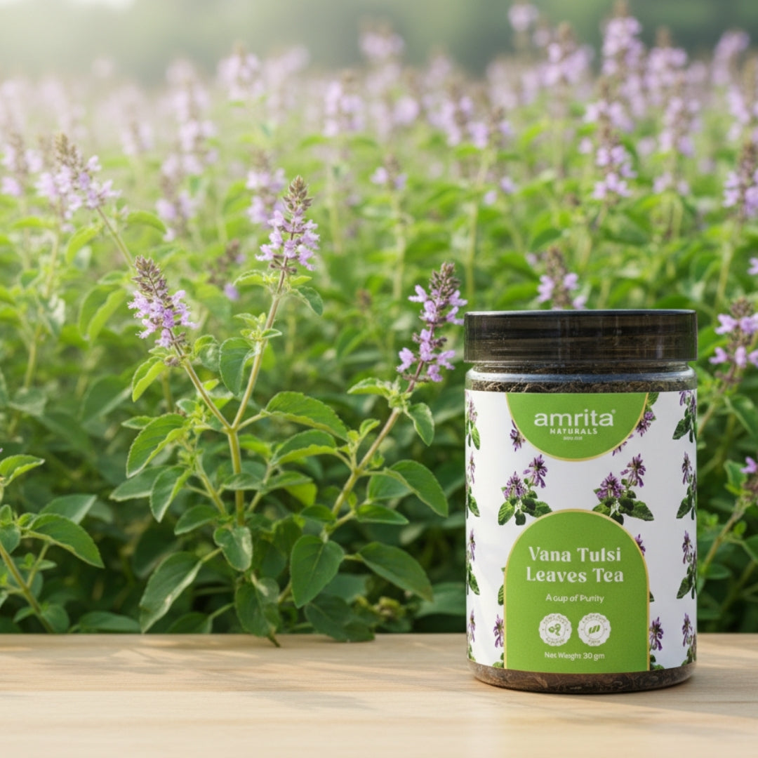 Vana Tulsi Holy Basil Tea Amrita Naturals