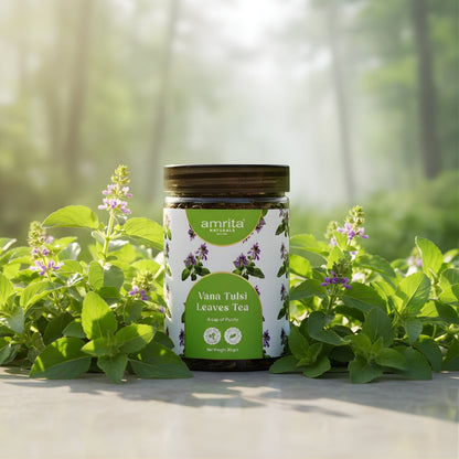 Vana Tulsi Holy Basil Tea Amrita Naturals