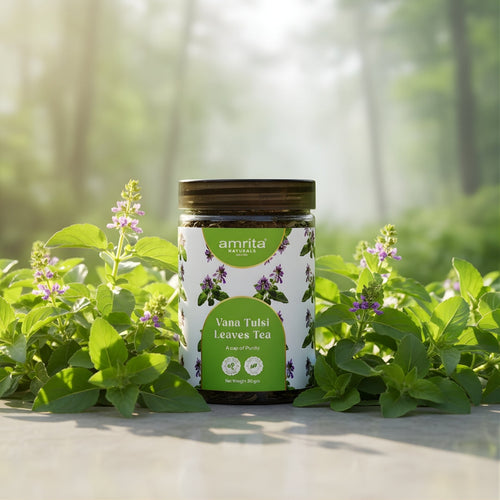 Vana Tulsi Holy Basil Tea Amrita Naturals