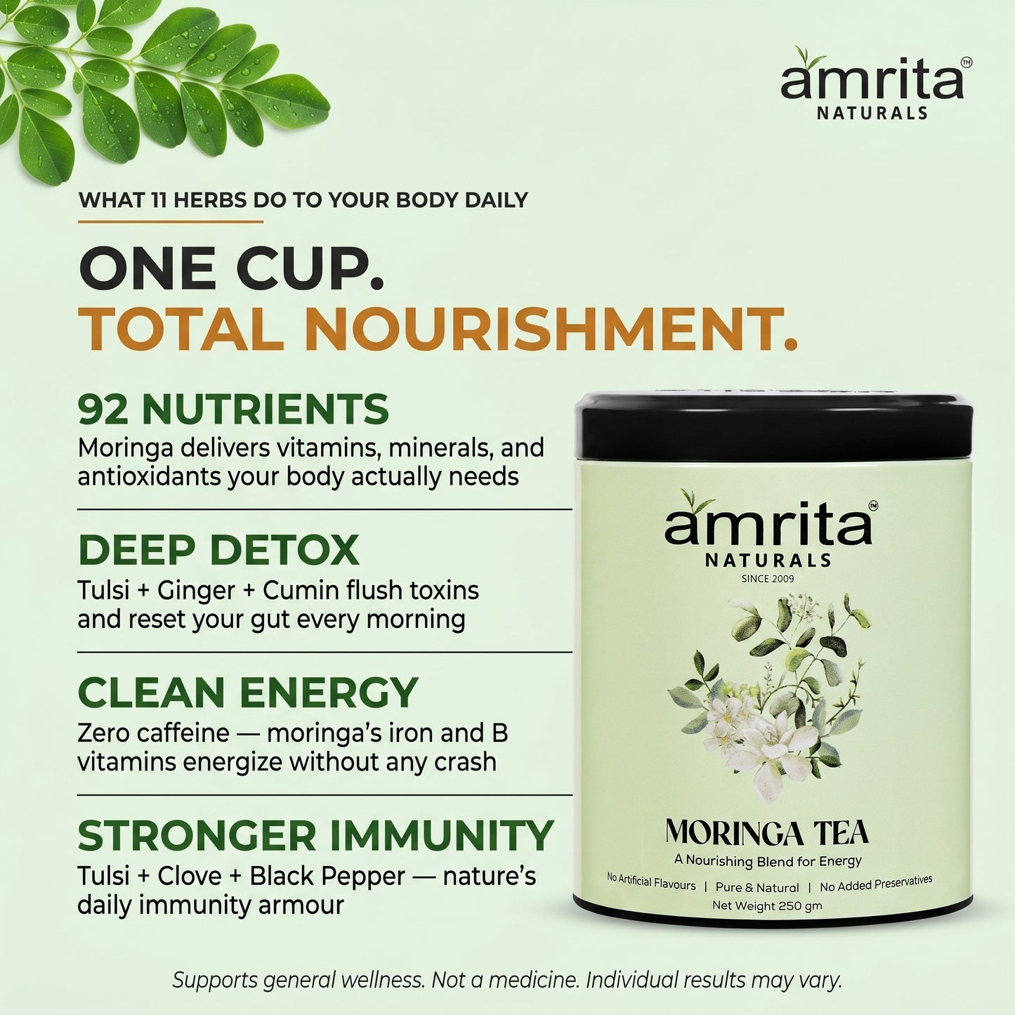 Moringa Green Vitality Tea Amrita Naturals