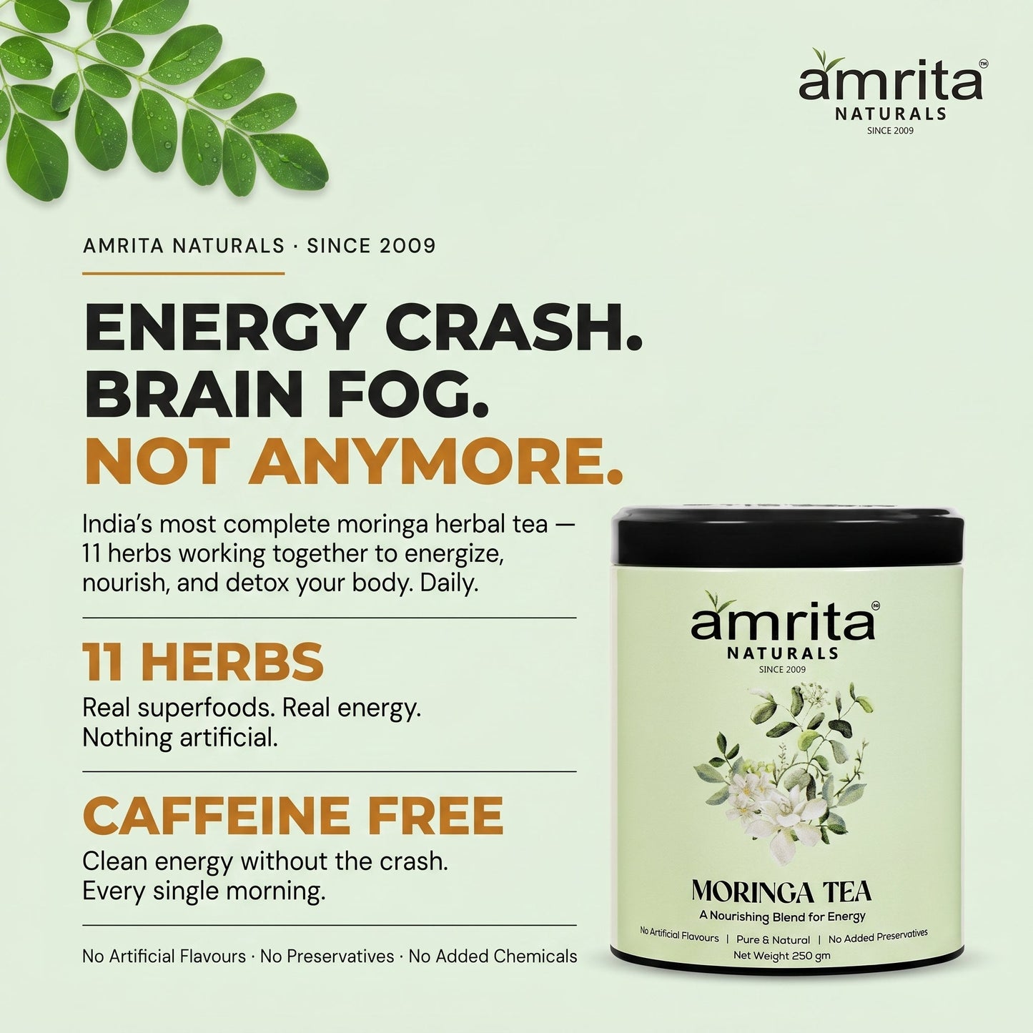 Moringa Green Vitality Tea Amrita Naturals