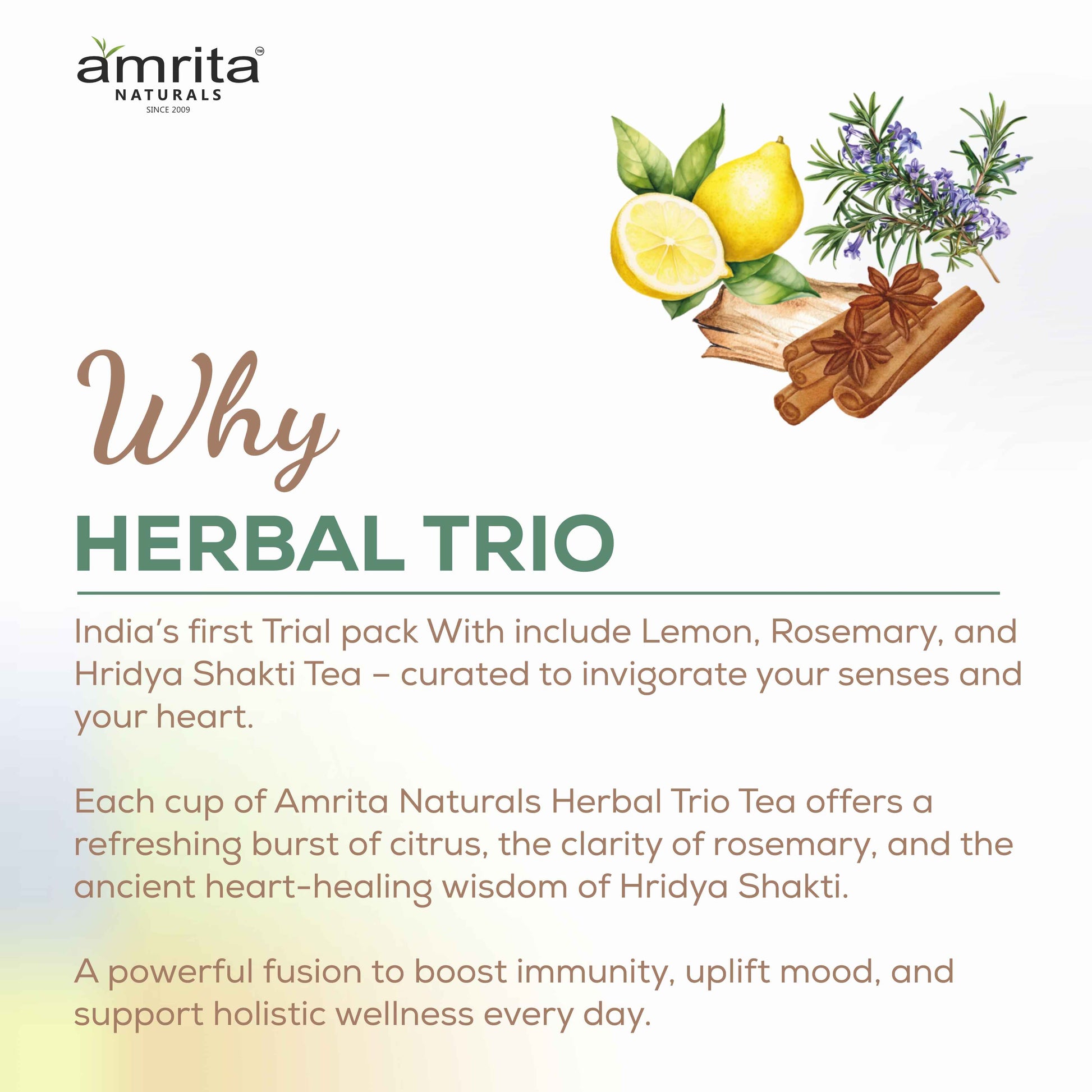 Herbal Trio- First in segment Lemon, Rosemary and Hridyashakti Herbal Tea 150g Amrita Naturals