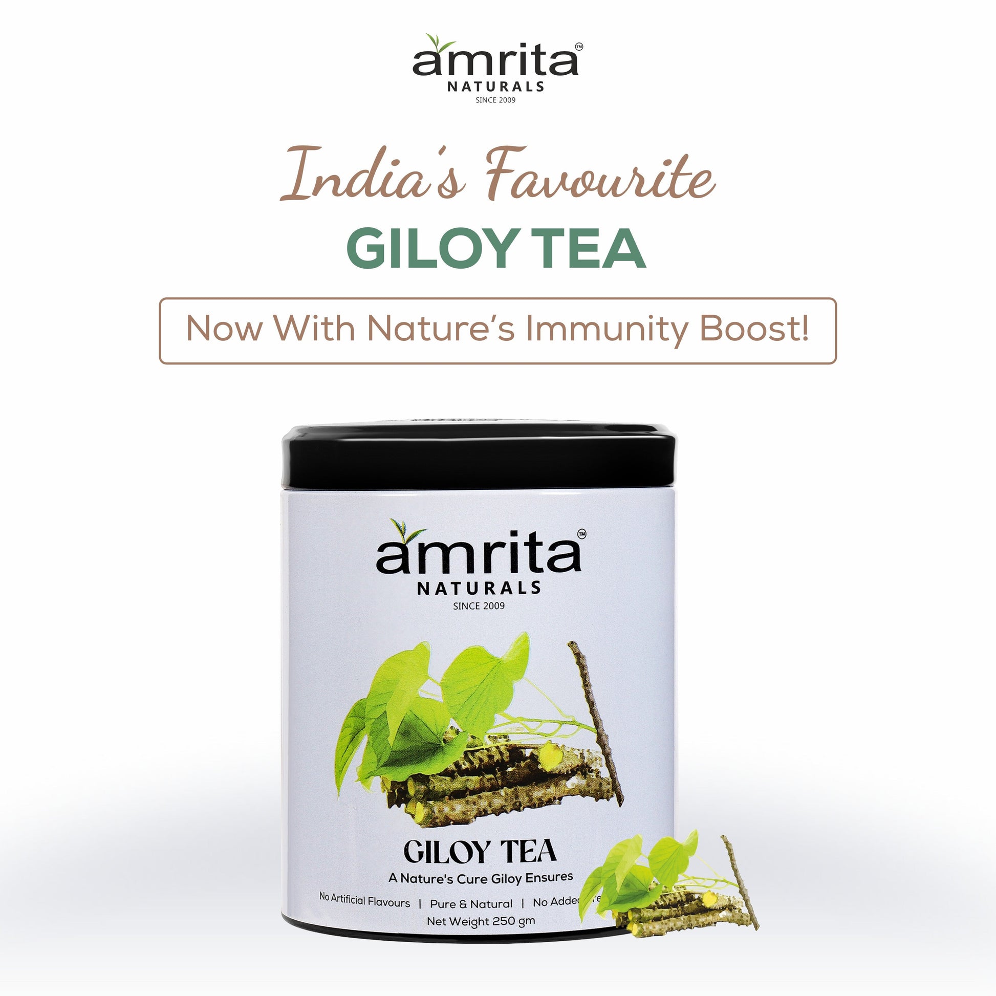 Amrita Naturals Giloy Tea- 250G Amrita Naturals