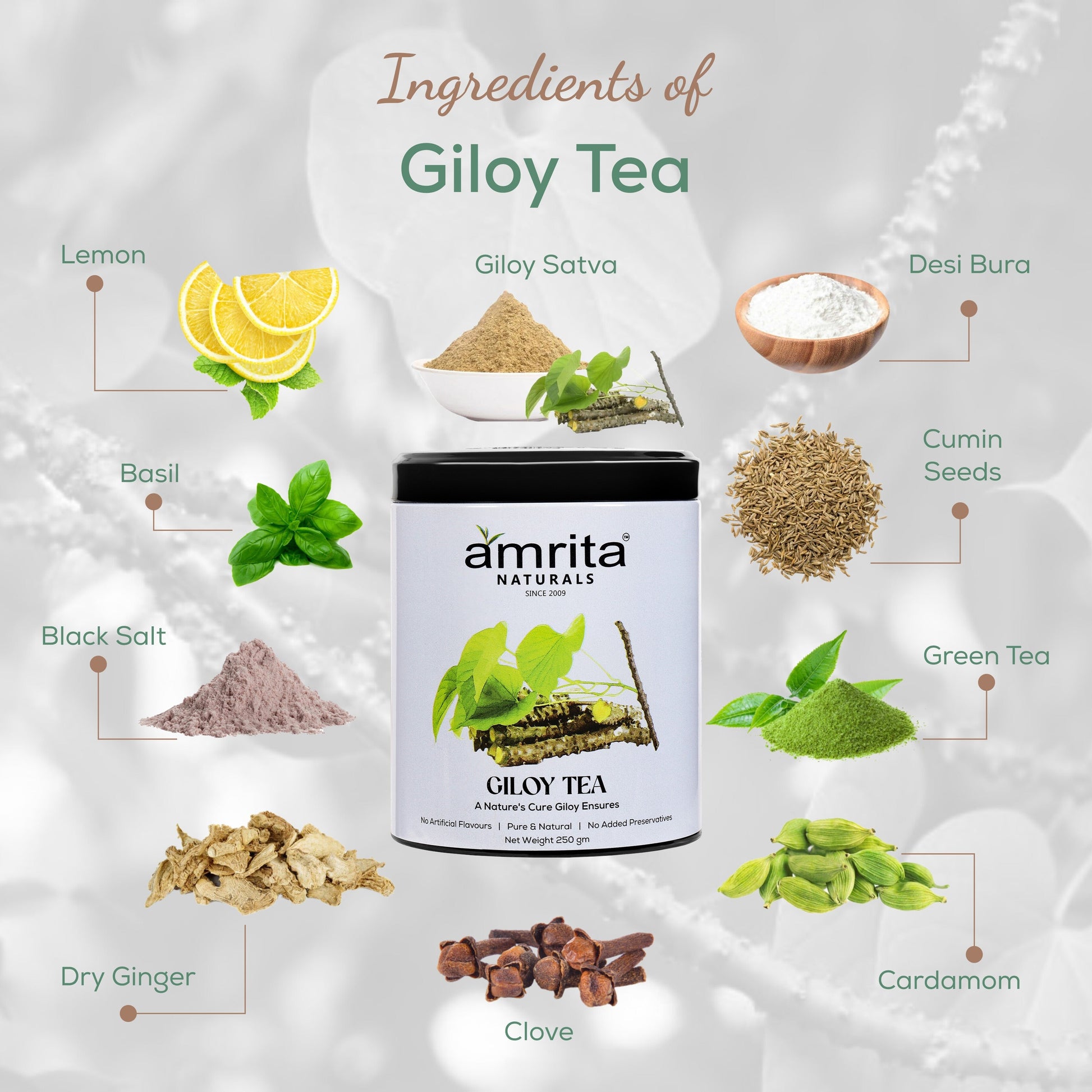 Amrita Naturals Giloy Tea- 250G Amrita Naturals