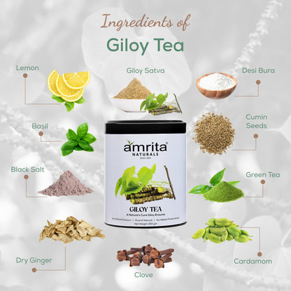 Amrita Naturals Giloy Tea- 250G Amrita Naturals