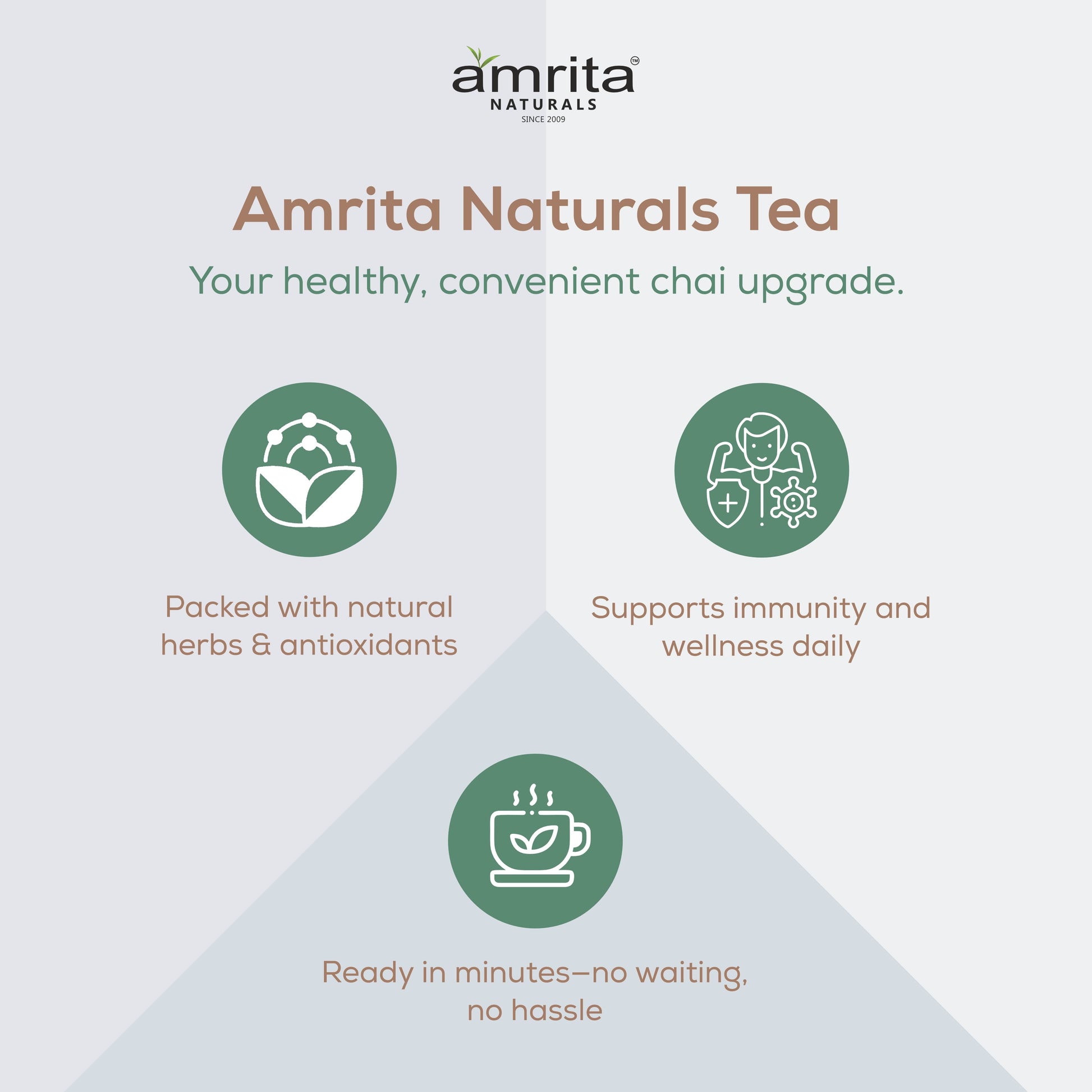 Amrita Naturals Giloy Tea- 250G Amrita Naturals