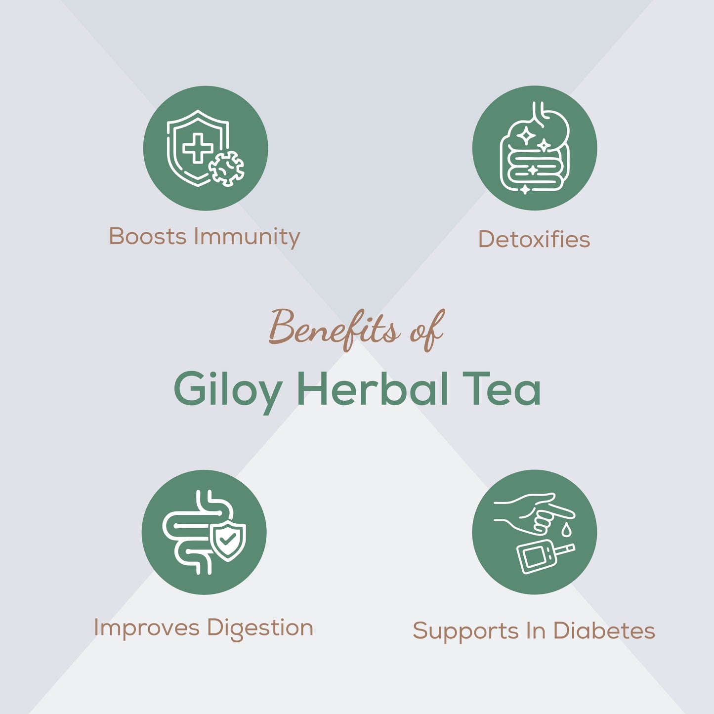 Amrita Naturals Giloy Tea- 250G Amrita Naturals