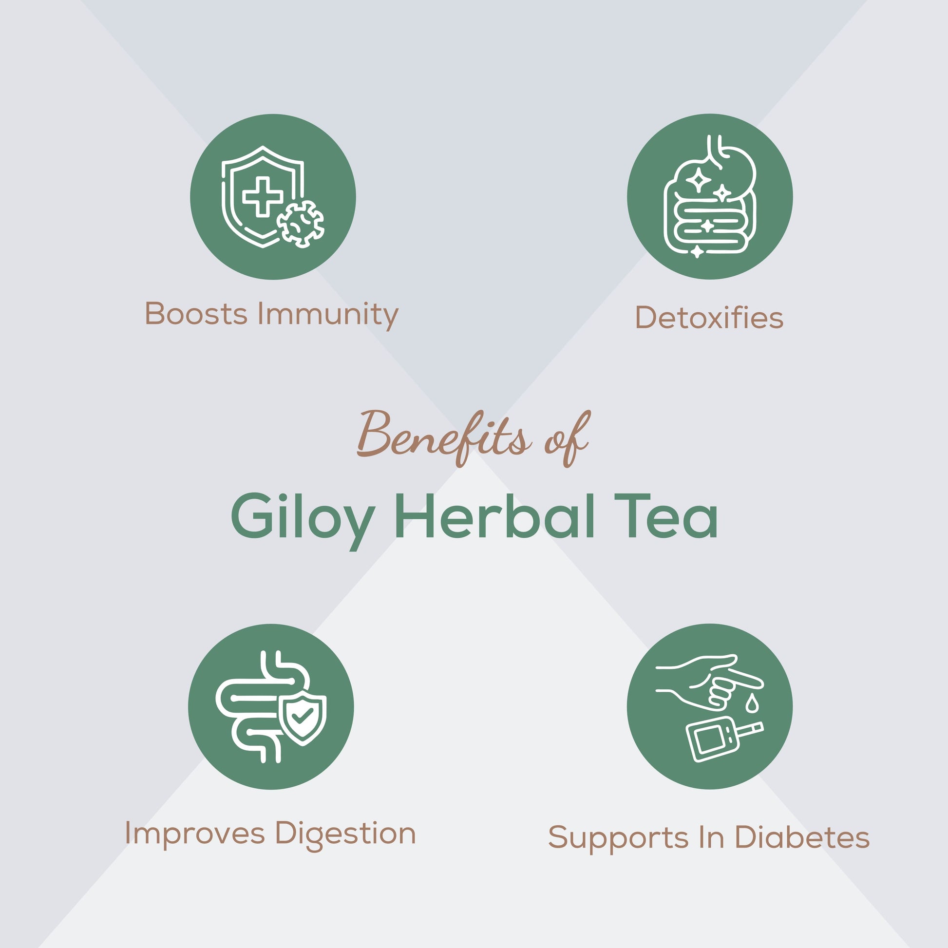 Amrita Naturals Giloy Tea- 250G Amrita Naturals