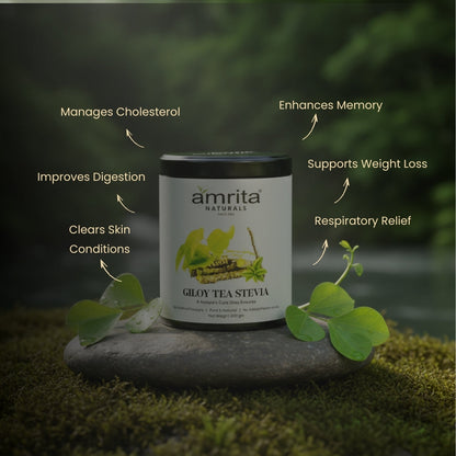 Giloy Stevia Herbal Tea Amrita Naturals