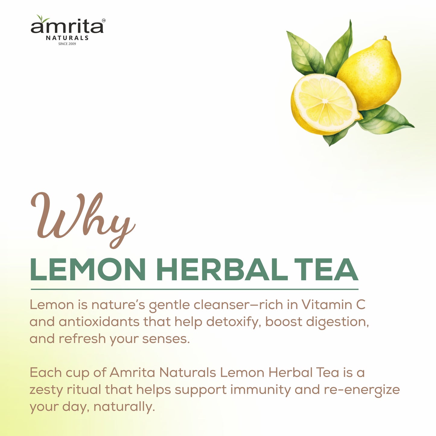 Amrita Natural’s Lemon Herbal Tea - 250 G Amrita Naturals