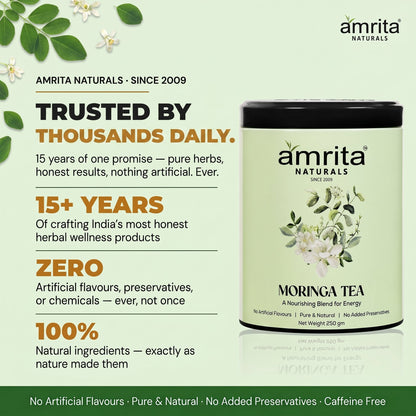 Moringa Green Vitality Tea Amrita Naturals