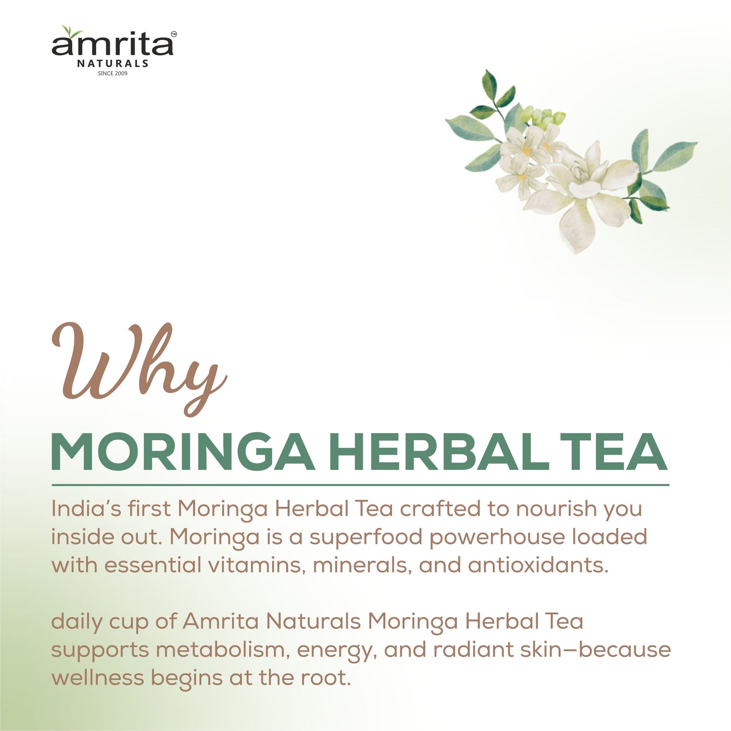 MORINGA HERBAL TEA Amrita Naturals