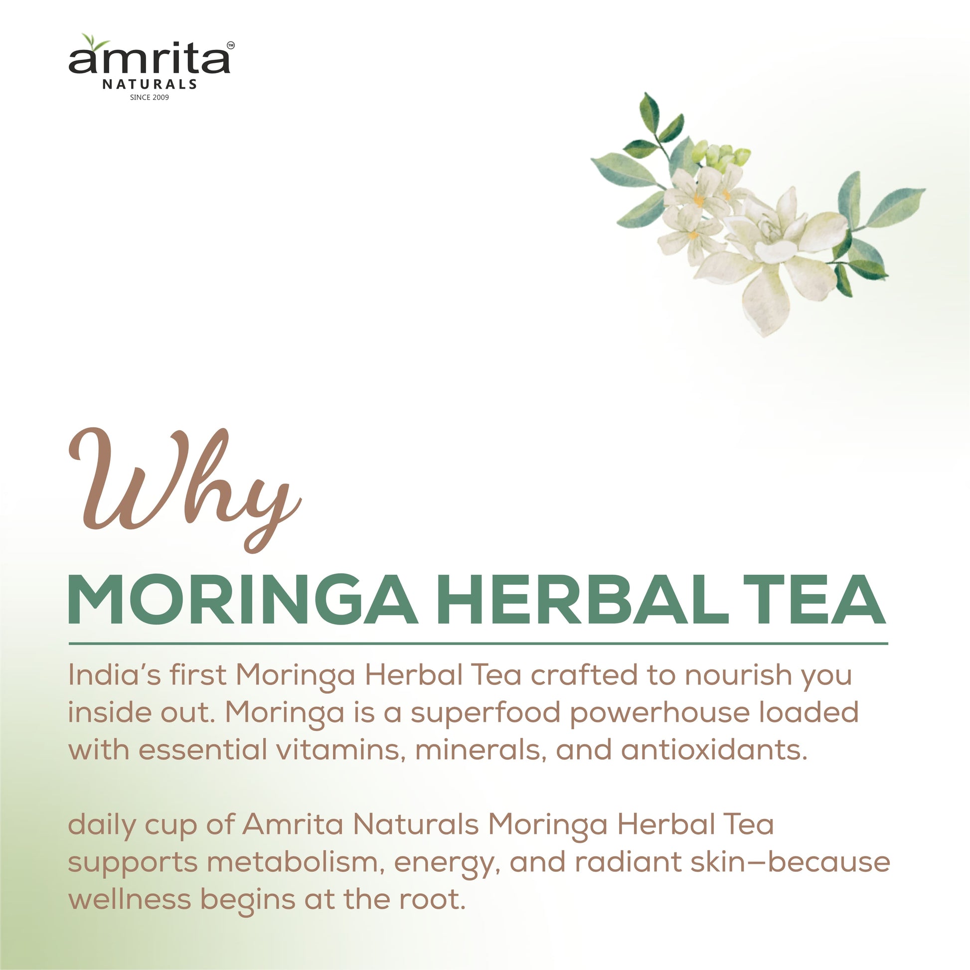 MORINGA HERBAL TEA Amrita Naturals