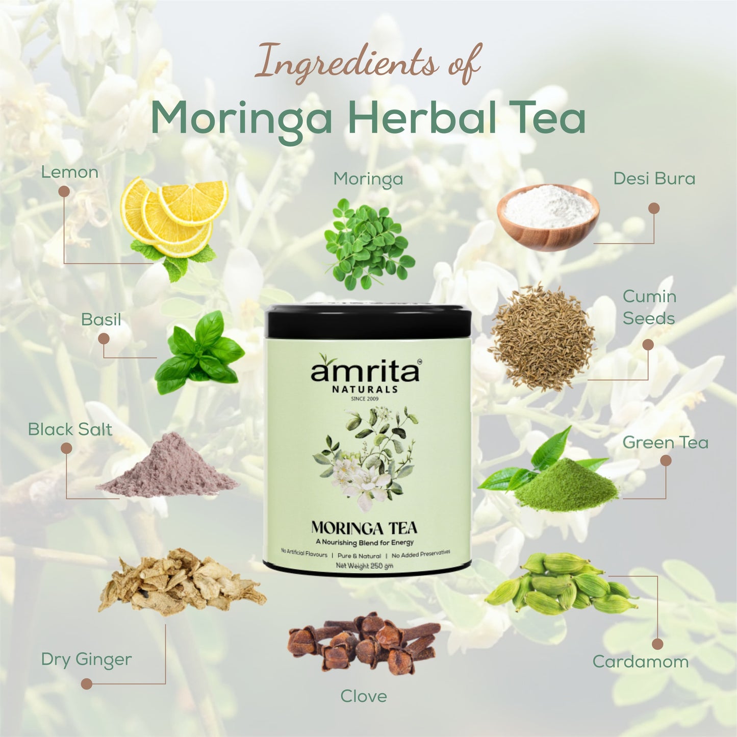 MORINGA HERBAL TEA Amrita Naturals