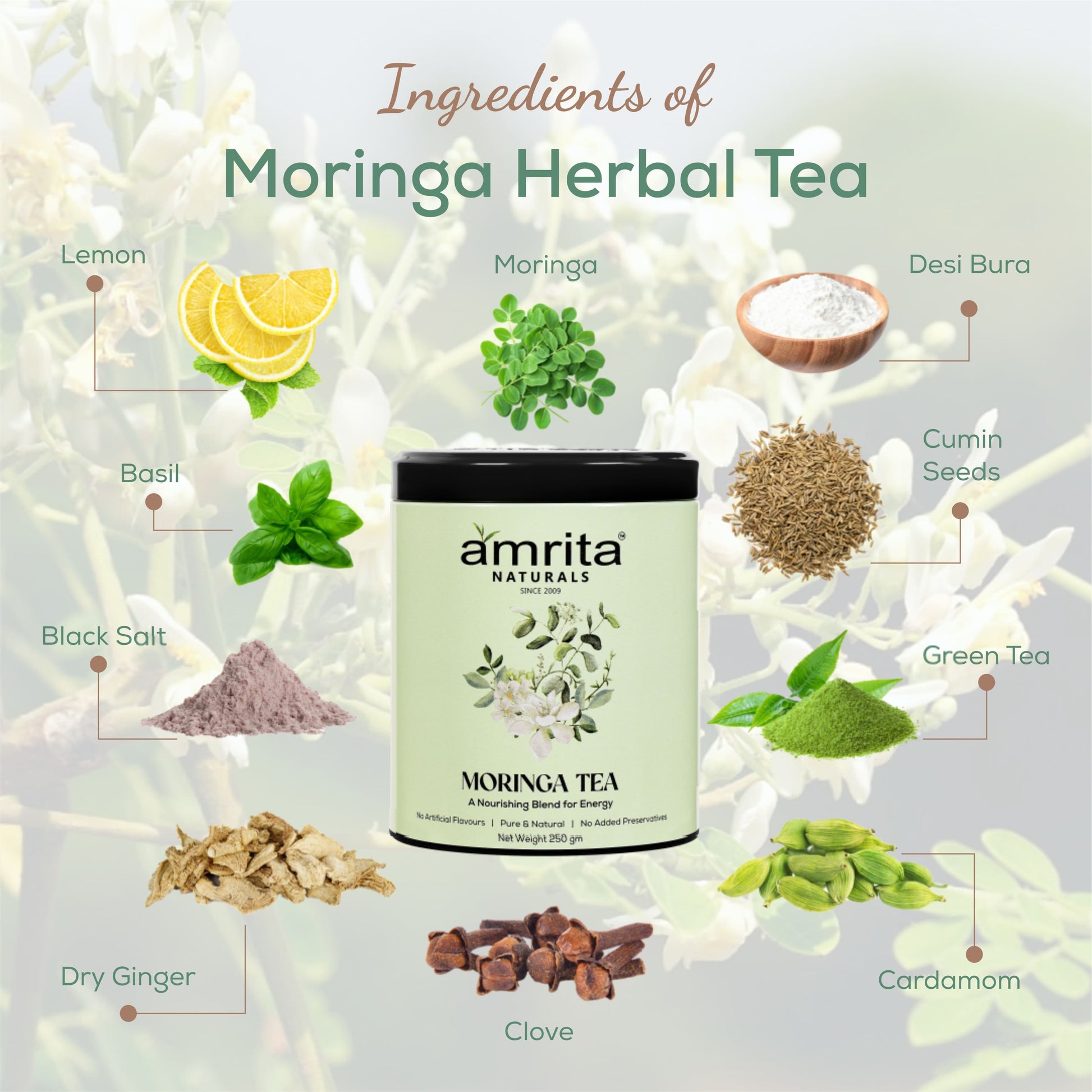 MORINGA HERBAL TEA Amrita Naturals